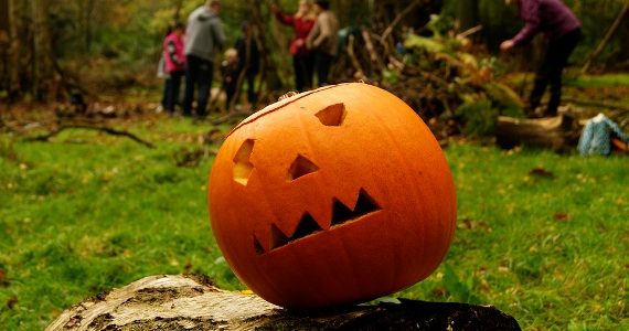 October Half Term Fun At Trentham Gardens